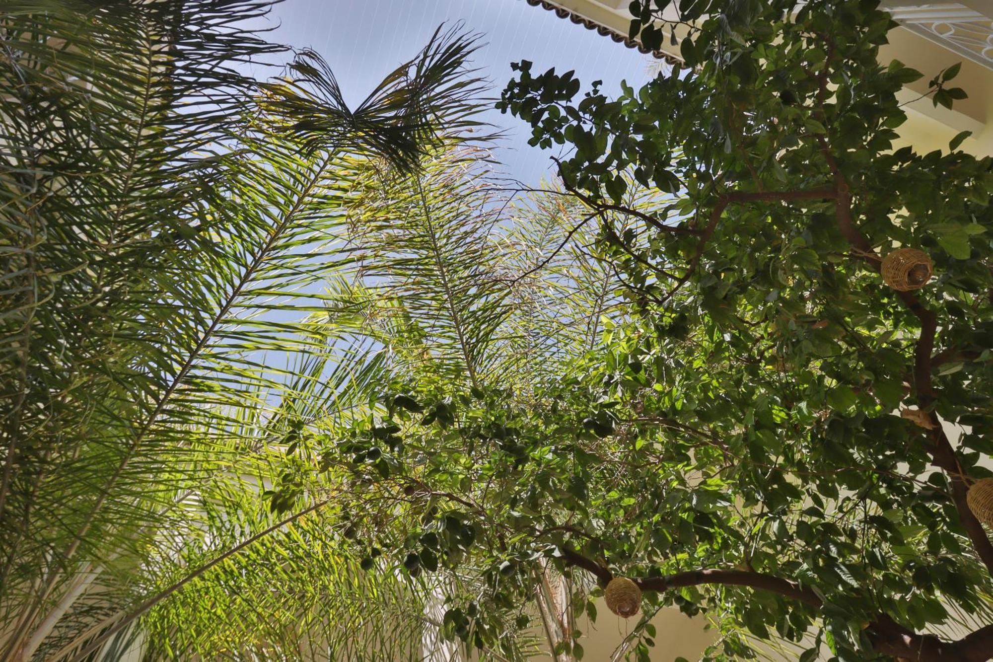 Riad Naanaa Bed & Breakfast 마라케시 외부 사진